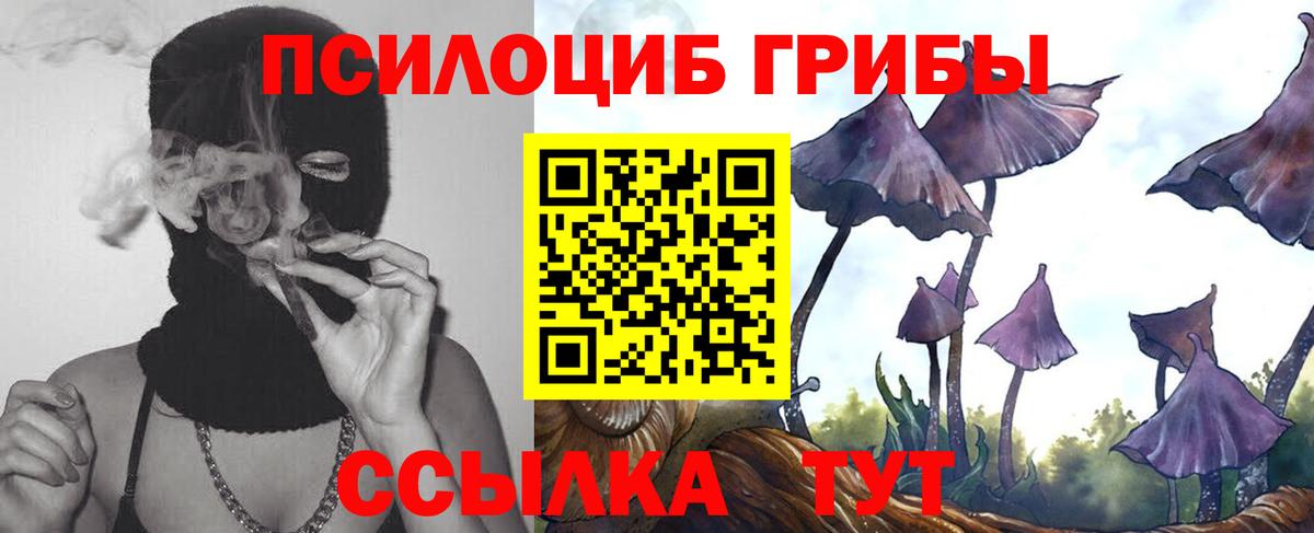 Беслан  Псилоцибиновые грибы мицелий  Вход с VPN 