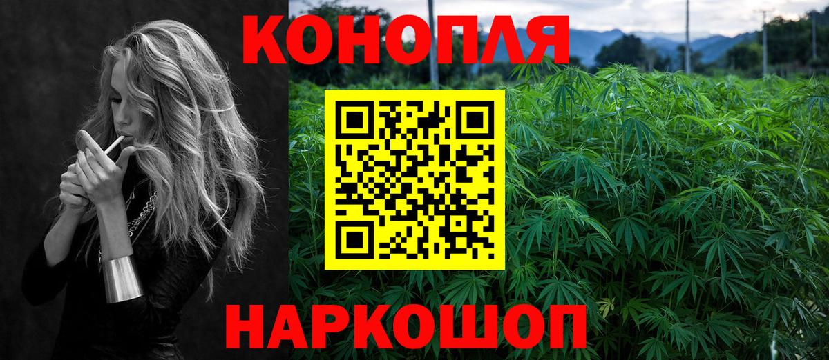 Шишки марихуана тримм  Вход с VPN  Марихуана VHQ  Конопля тримм  Беслан 